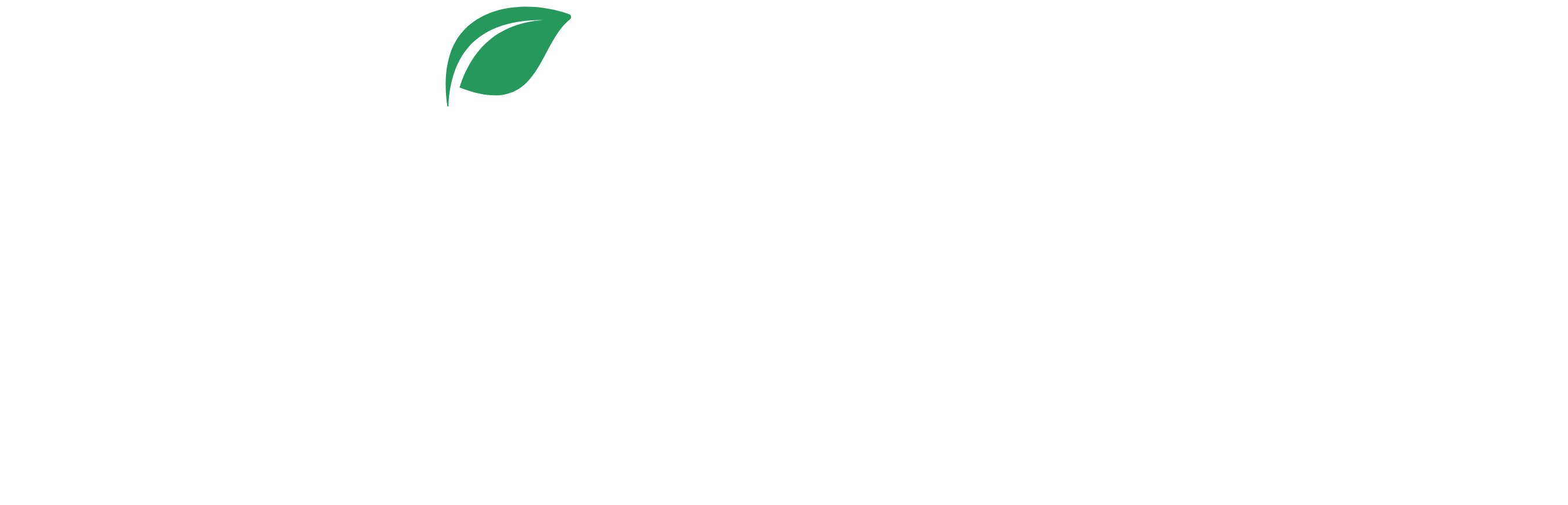 Akman Fruit